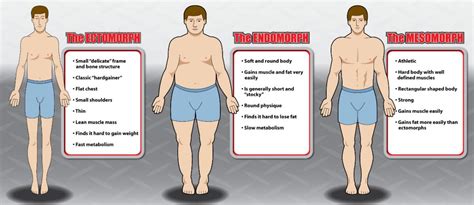 3 body types quiz|More.